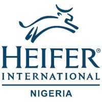 heifer